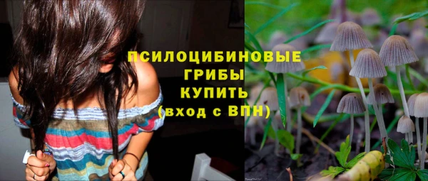 ALPHA PVP Беломорск